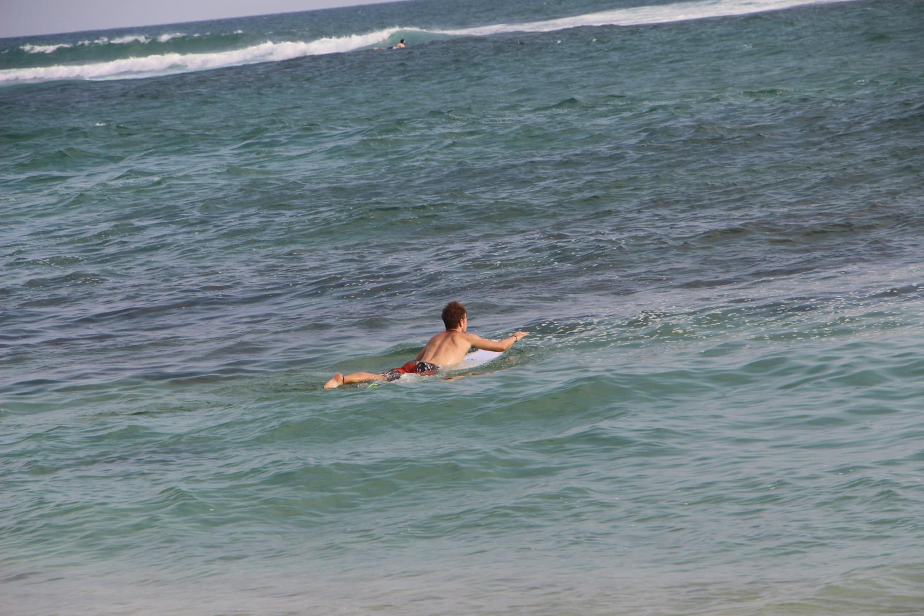 Photo 41