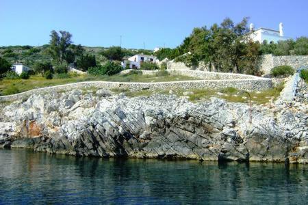 Photo 24