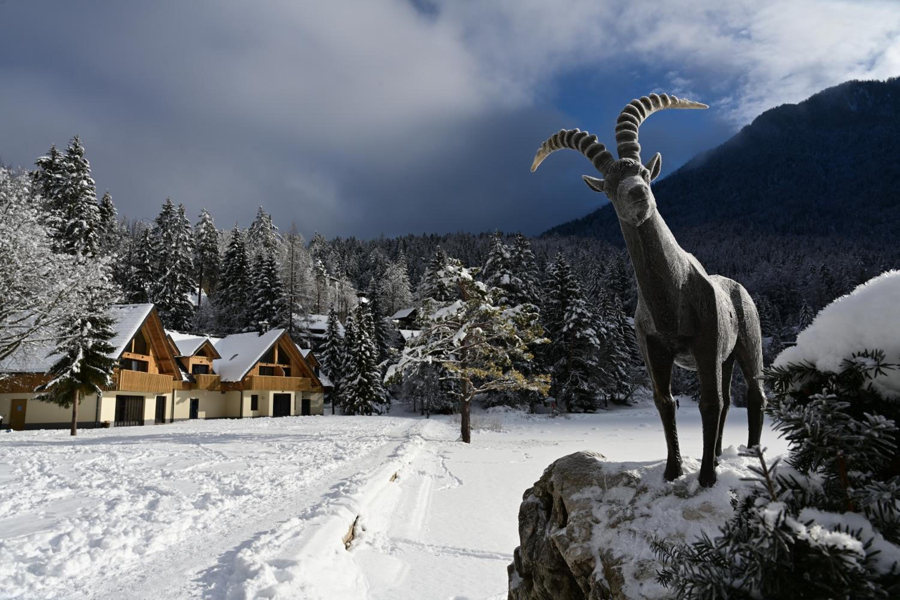 JASNA NATUR Resort by the lake view 5
