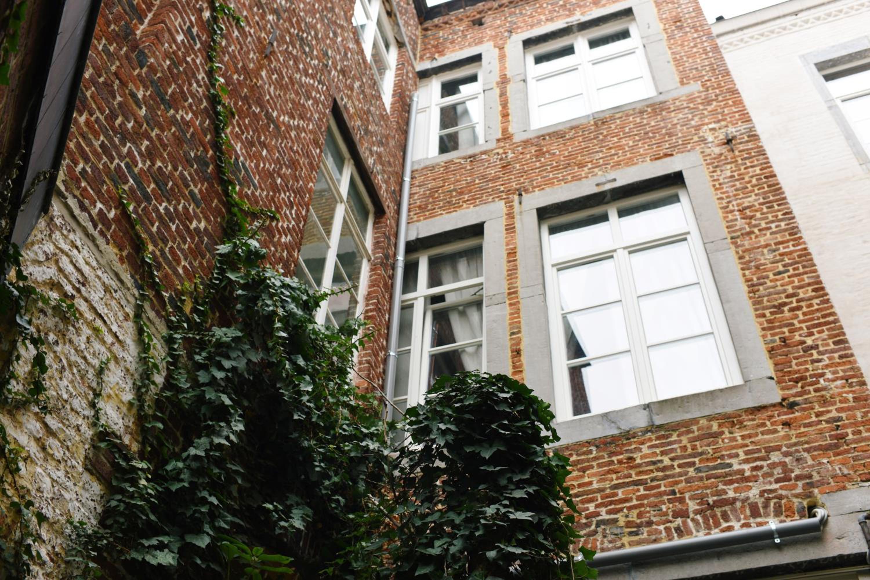 BED Collège