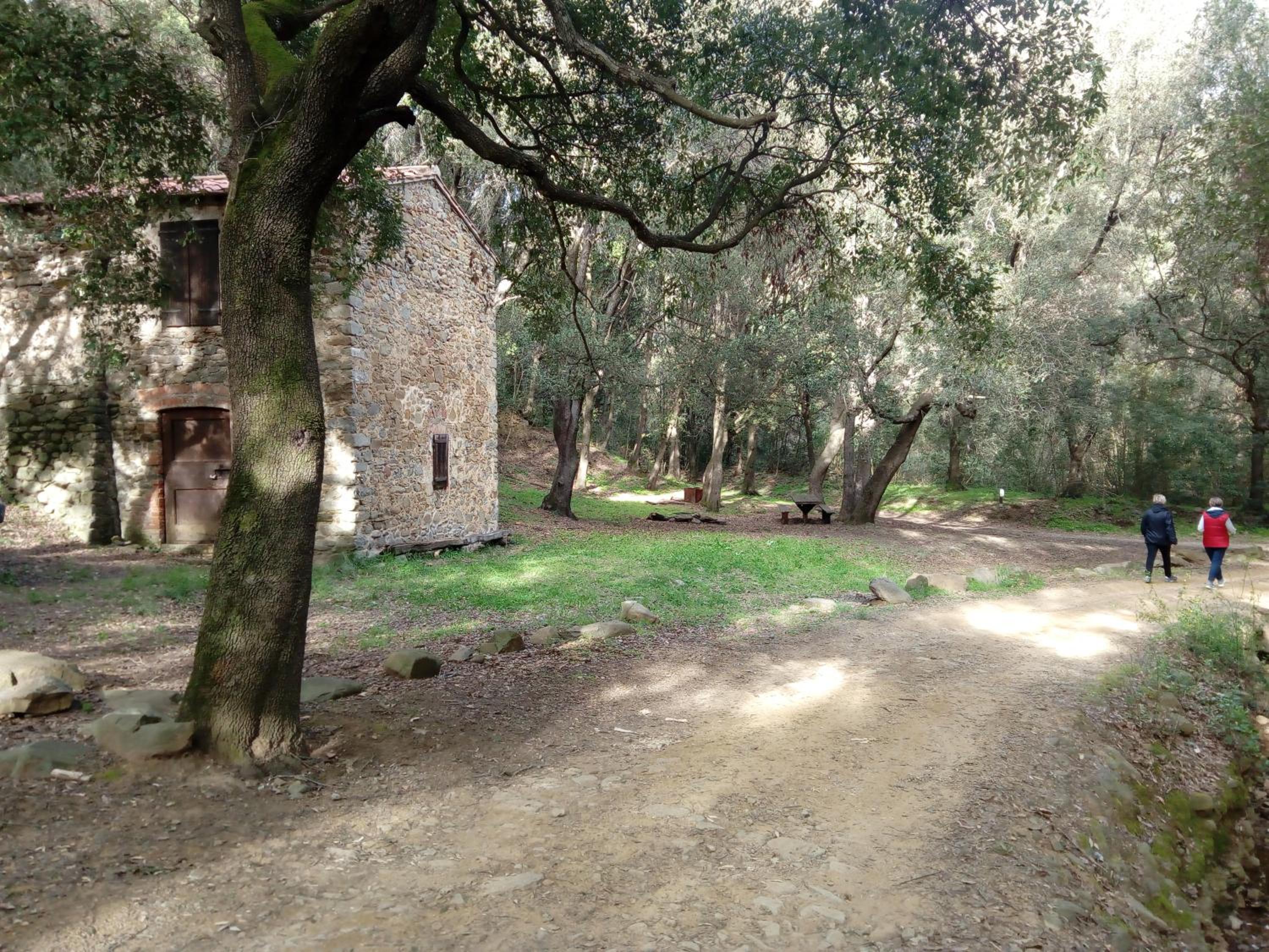 Agriturismo Bocci