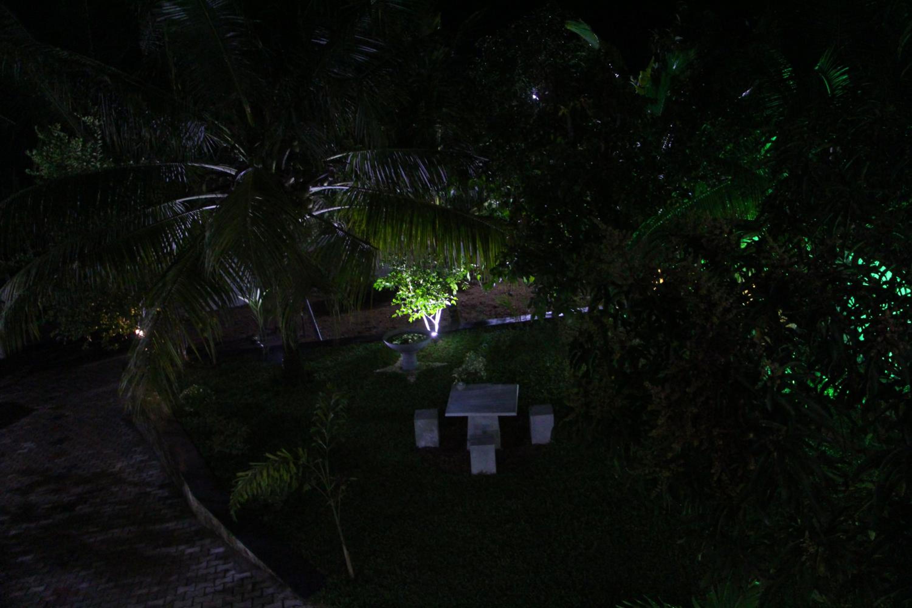 Photo 37