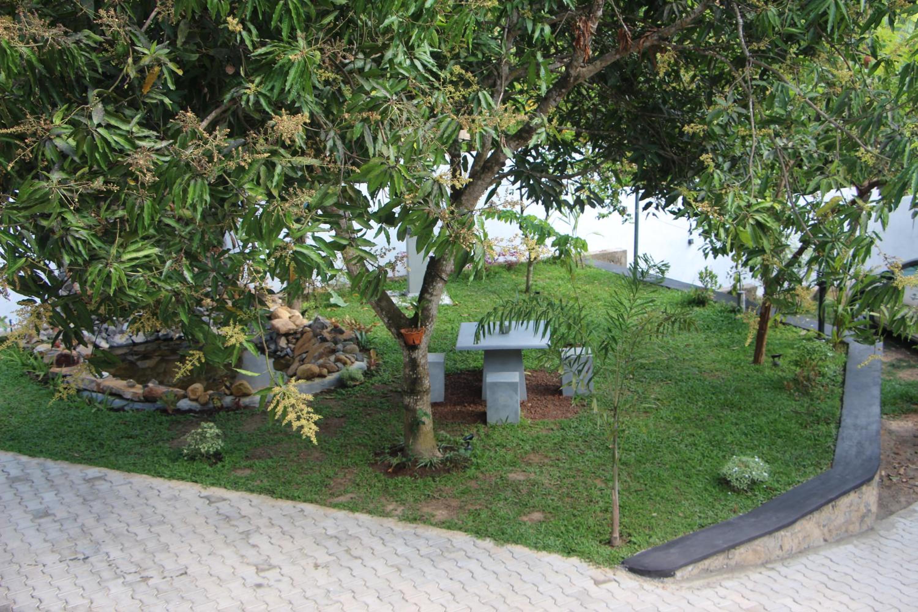 Photo 26