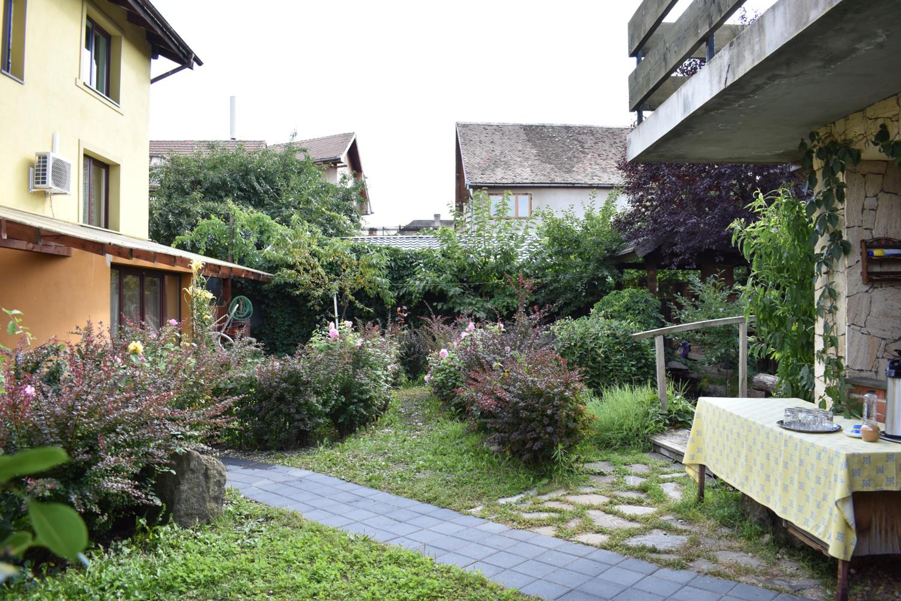 Photo 44
