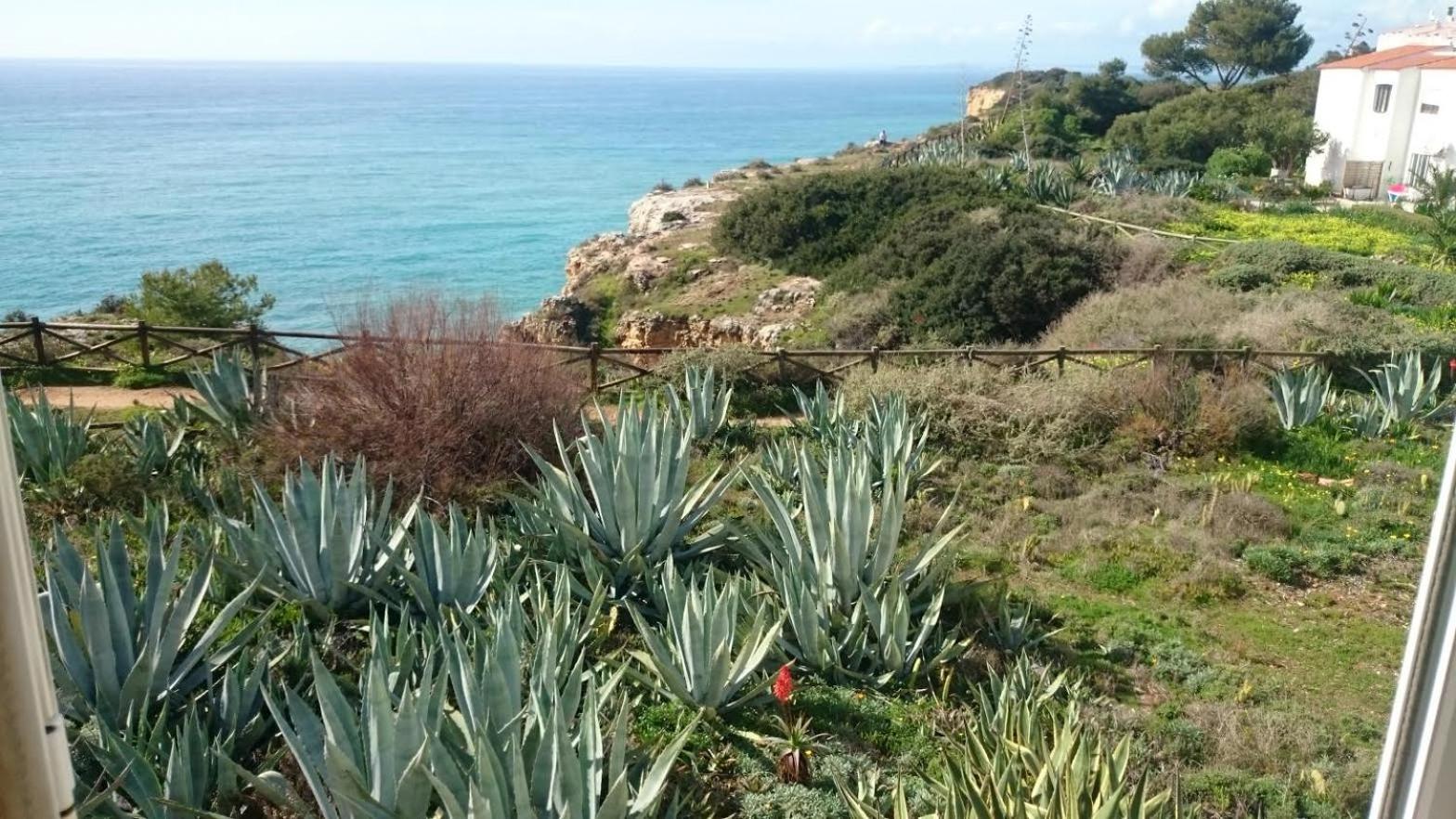 Carvoeiro Vacations - Apartment Rui - Property Image 3