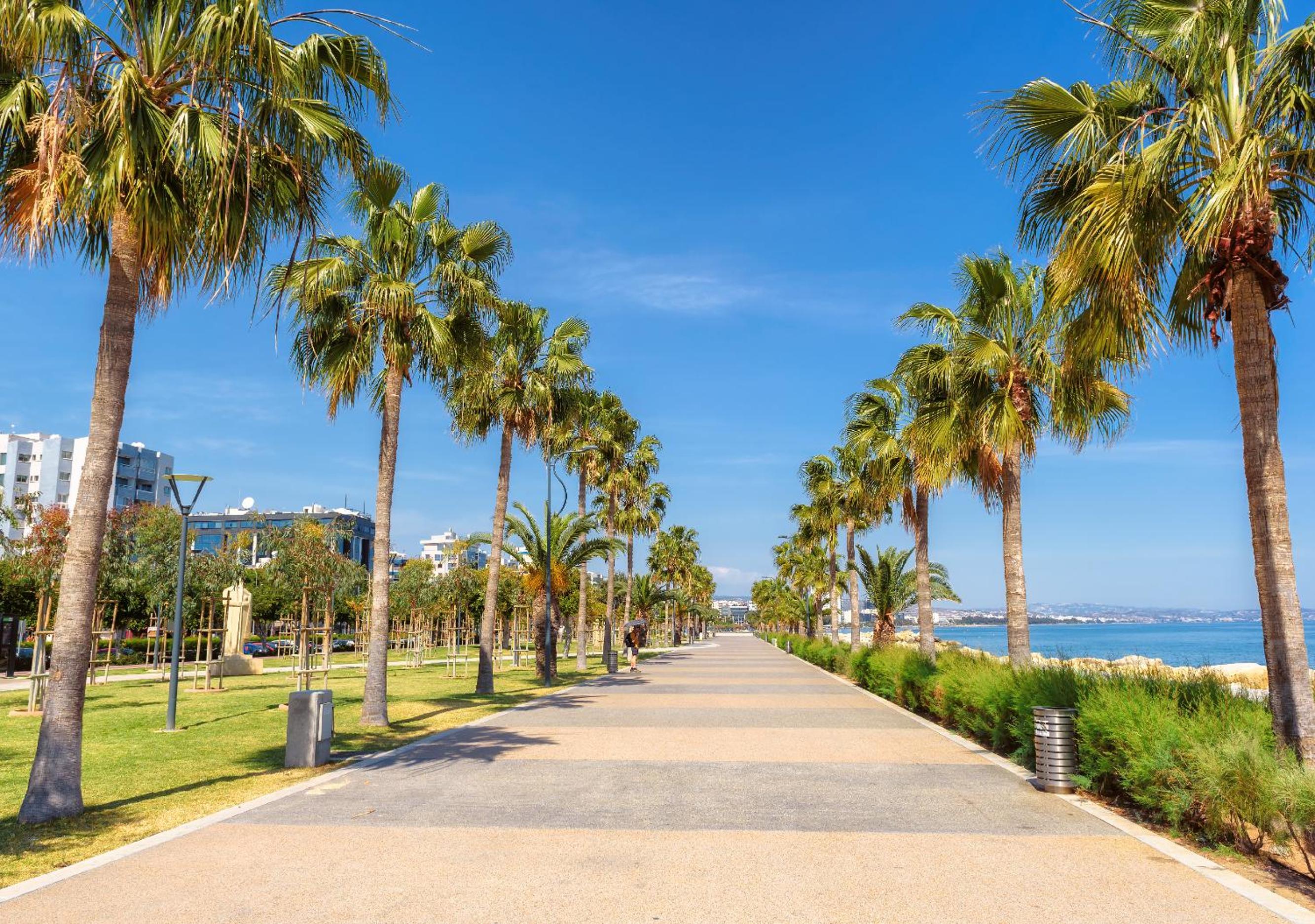 Limassol Vacations - Limassol Old Town Mansion - Property Image 38