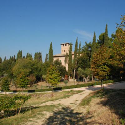 Photo 24