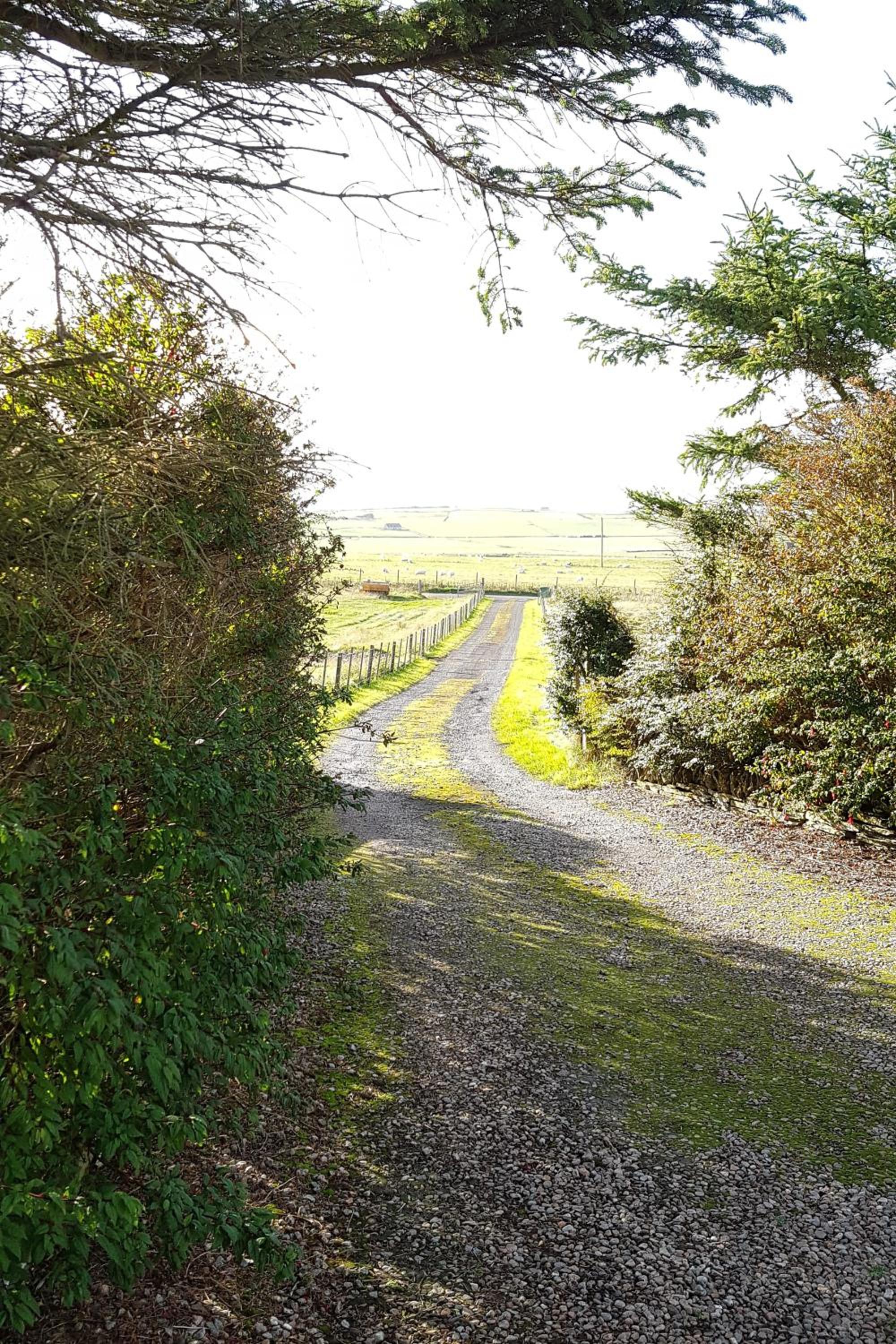 Photo 29