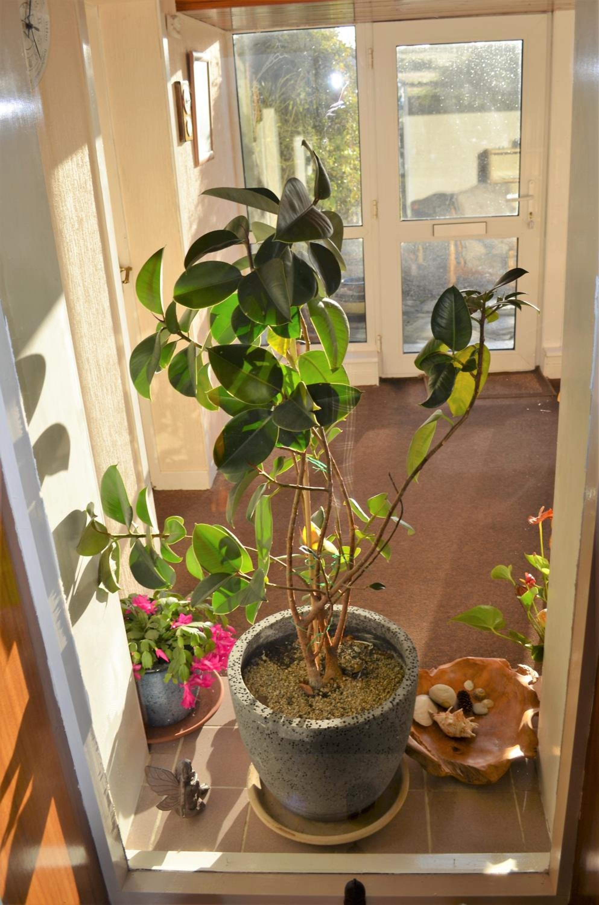 Photo 33