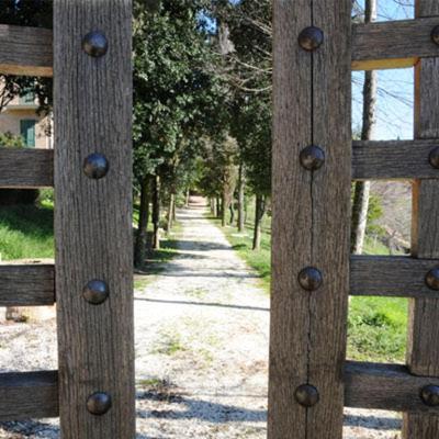 Photo 21