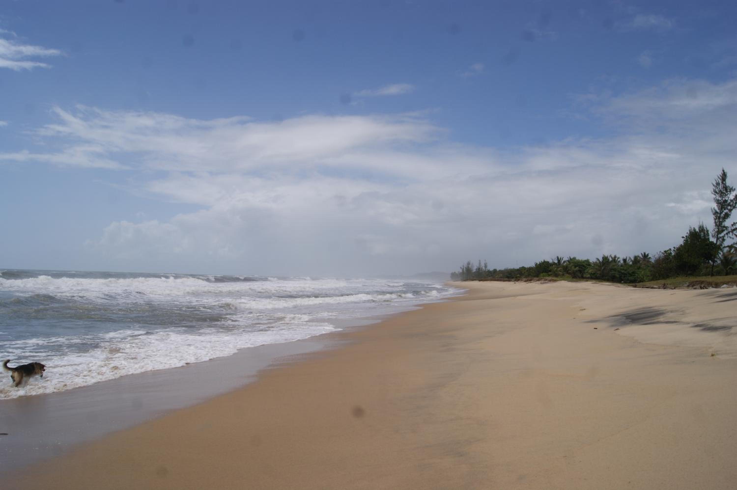 Photo 29