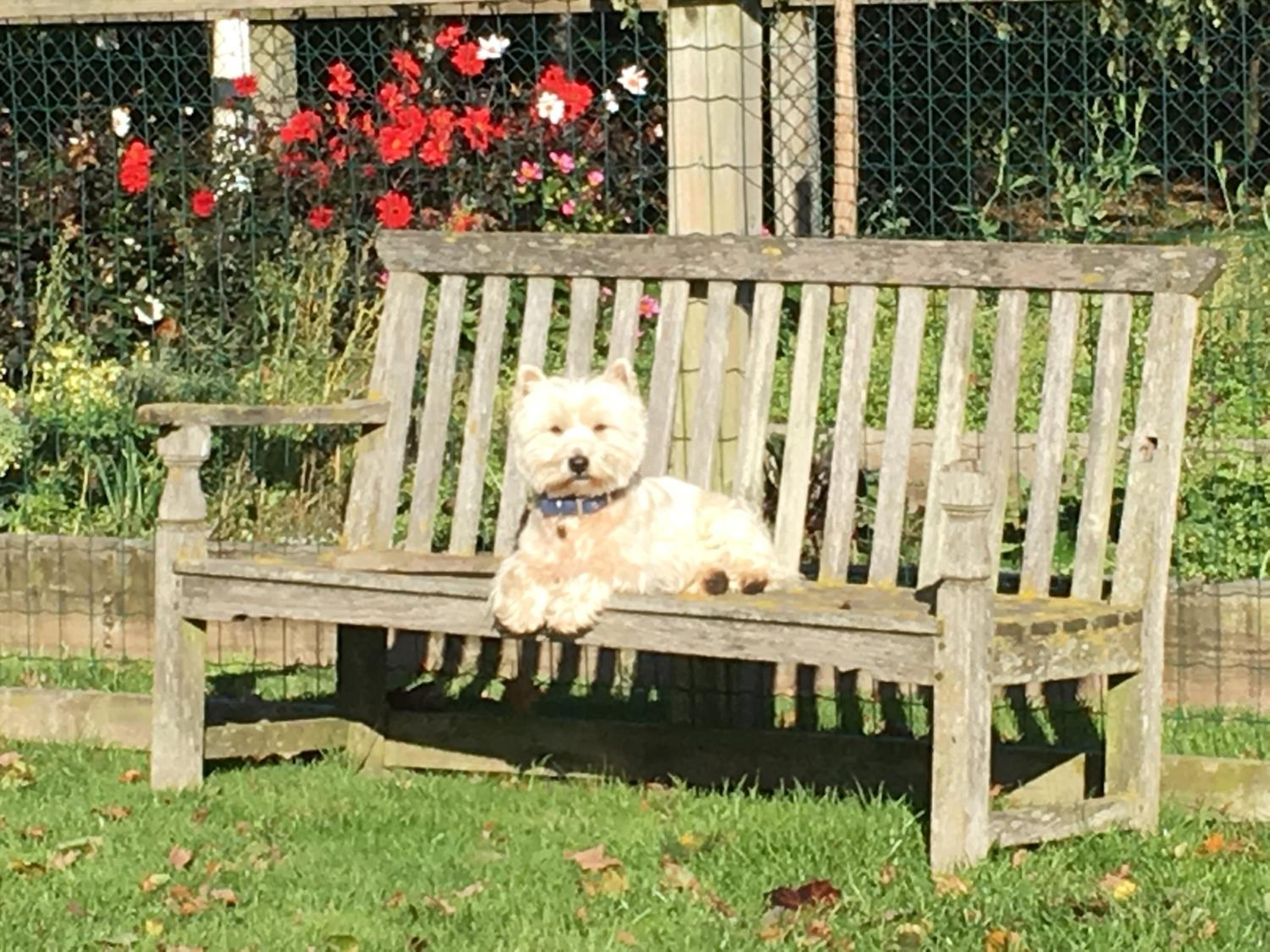 other