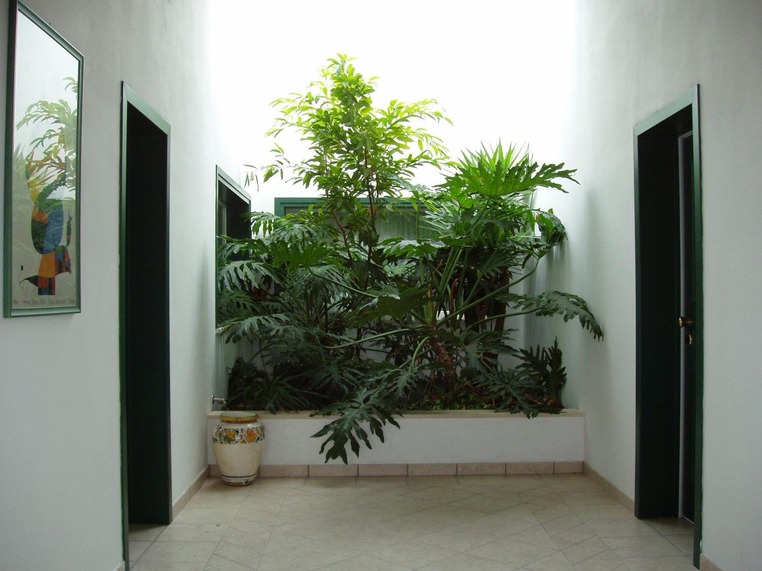 Hotel La Primula, photo 14