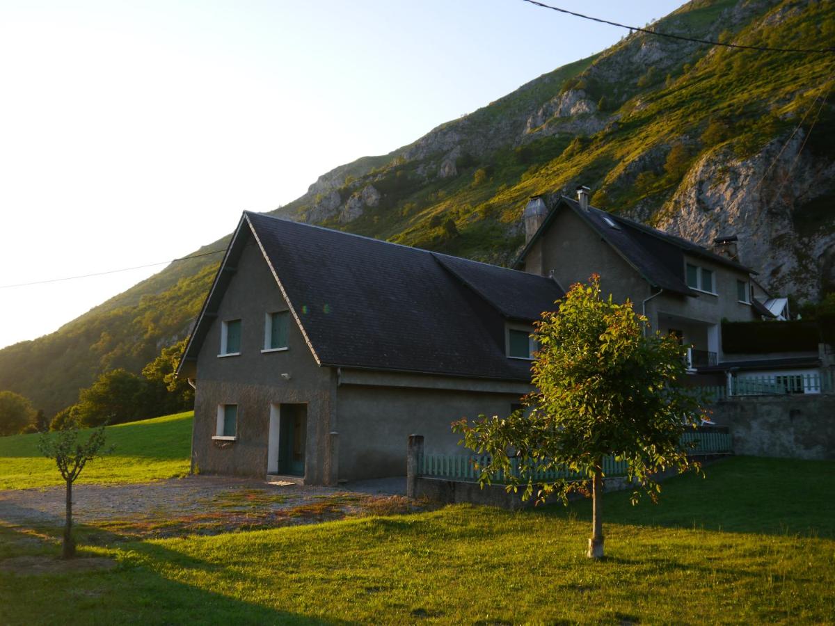 Photo 43