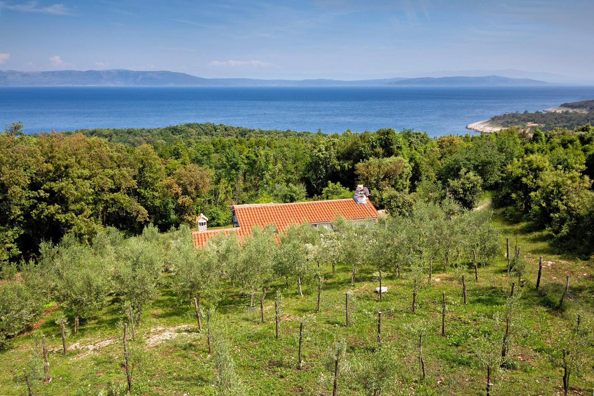 Roinizza in Prtlog (Haus für 4-5 Personen) view 5