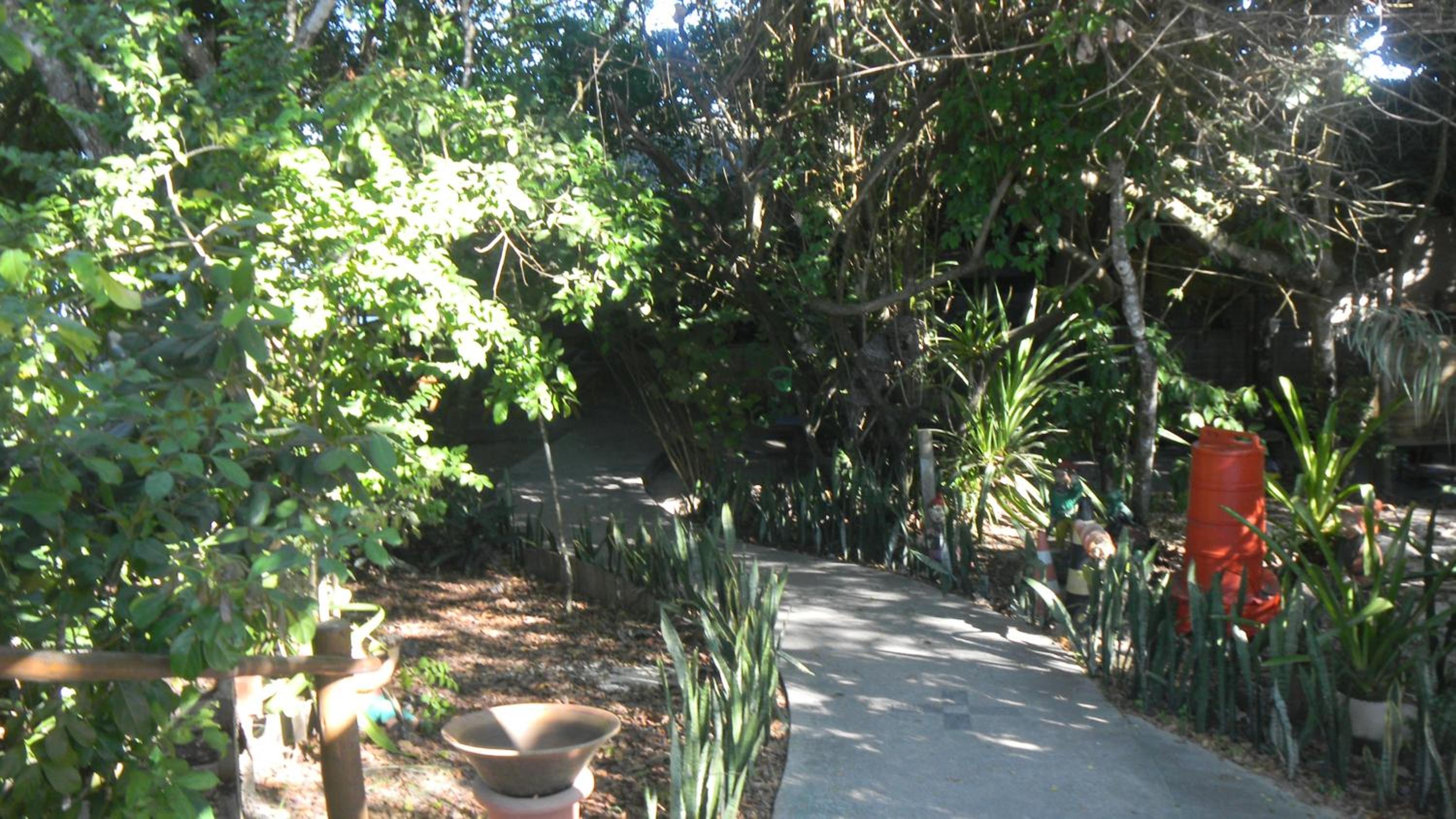 Photo 41