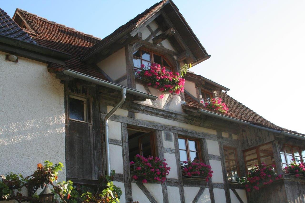 Hotel Gästehaus Theresia Garni