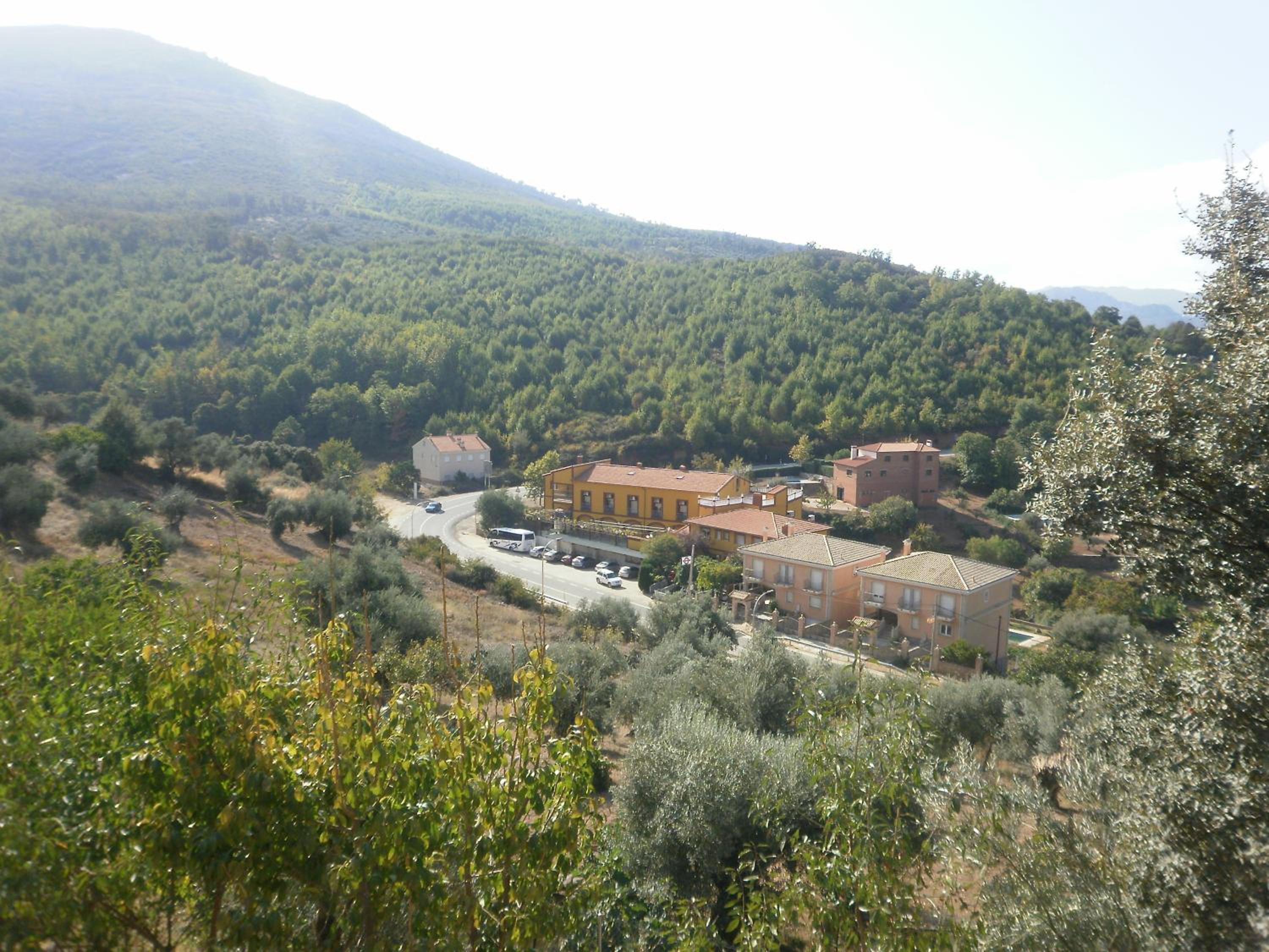 Photo 29