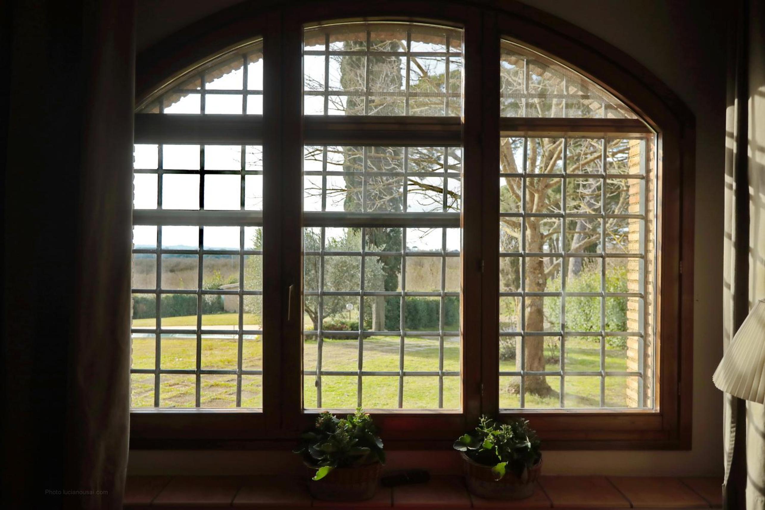Photo 41
