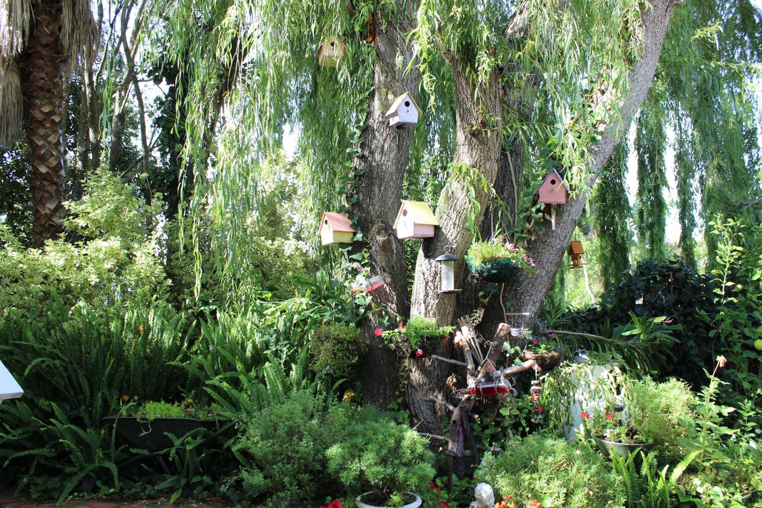 Photo 49