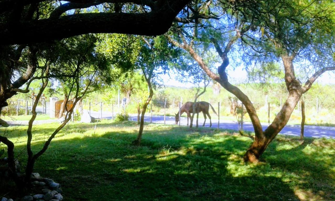 Cabanas en el Jardin Nativo