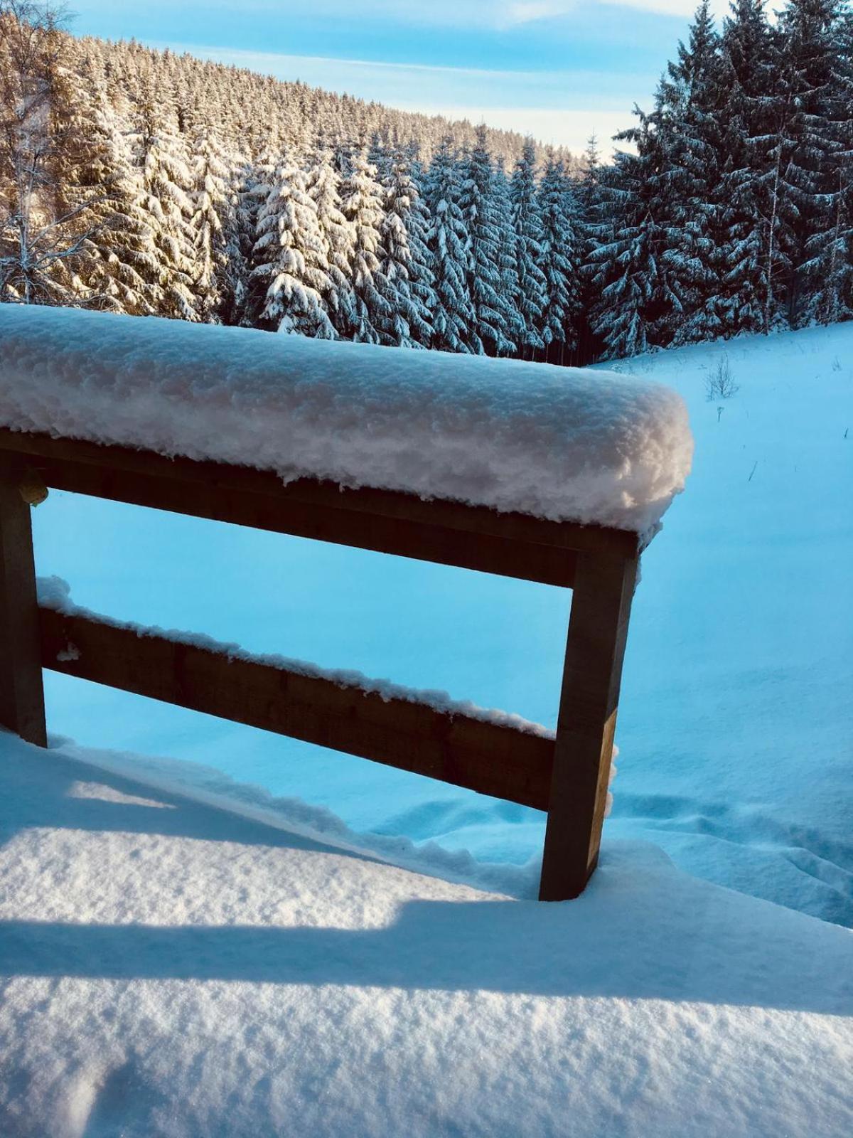 Chalet Le Forestier view 3