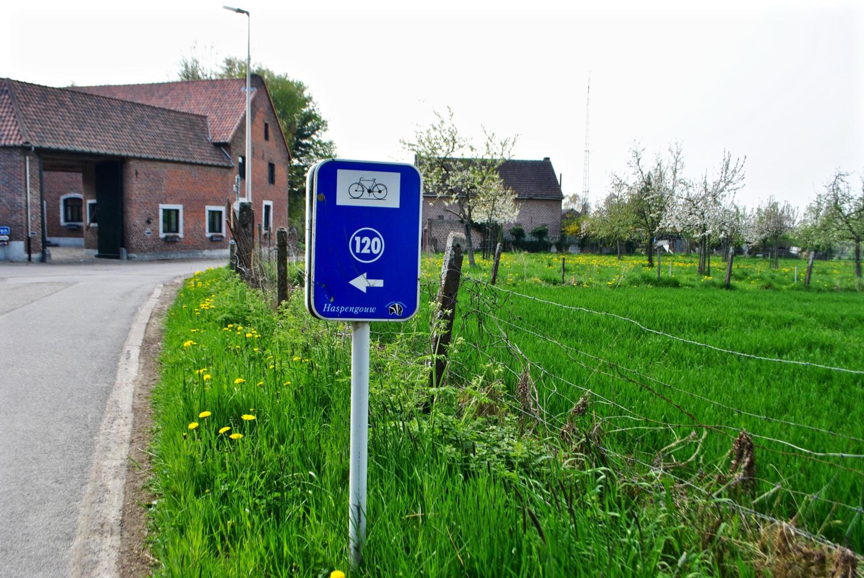 Photo 48