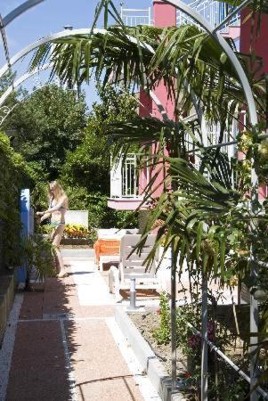 Photo 18