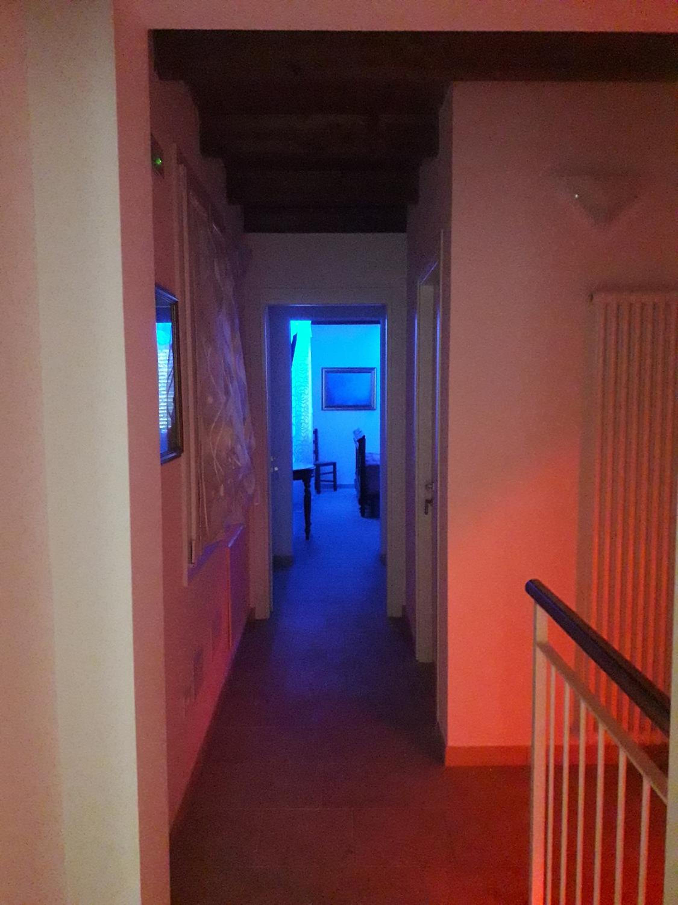 Le mille e una notte en Comacchio — other