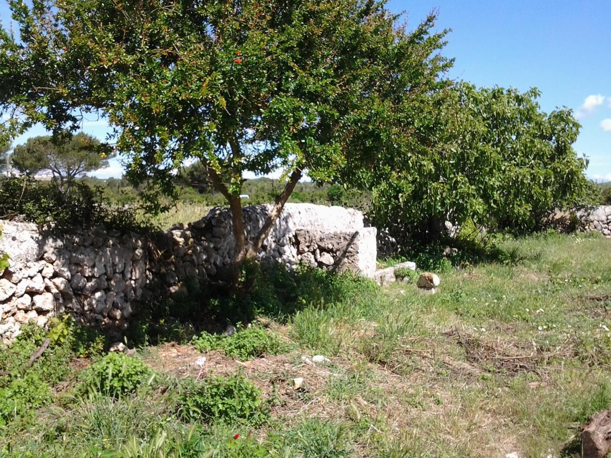 Es Barranco