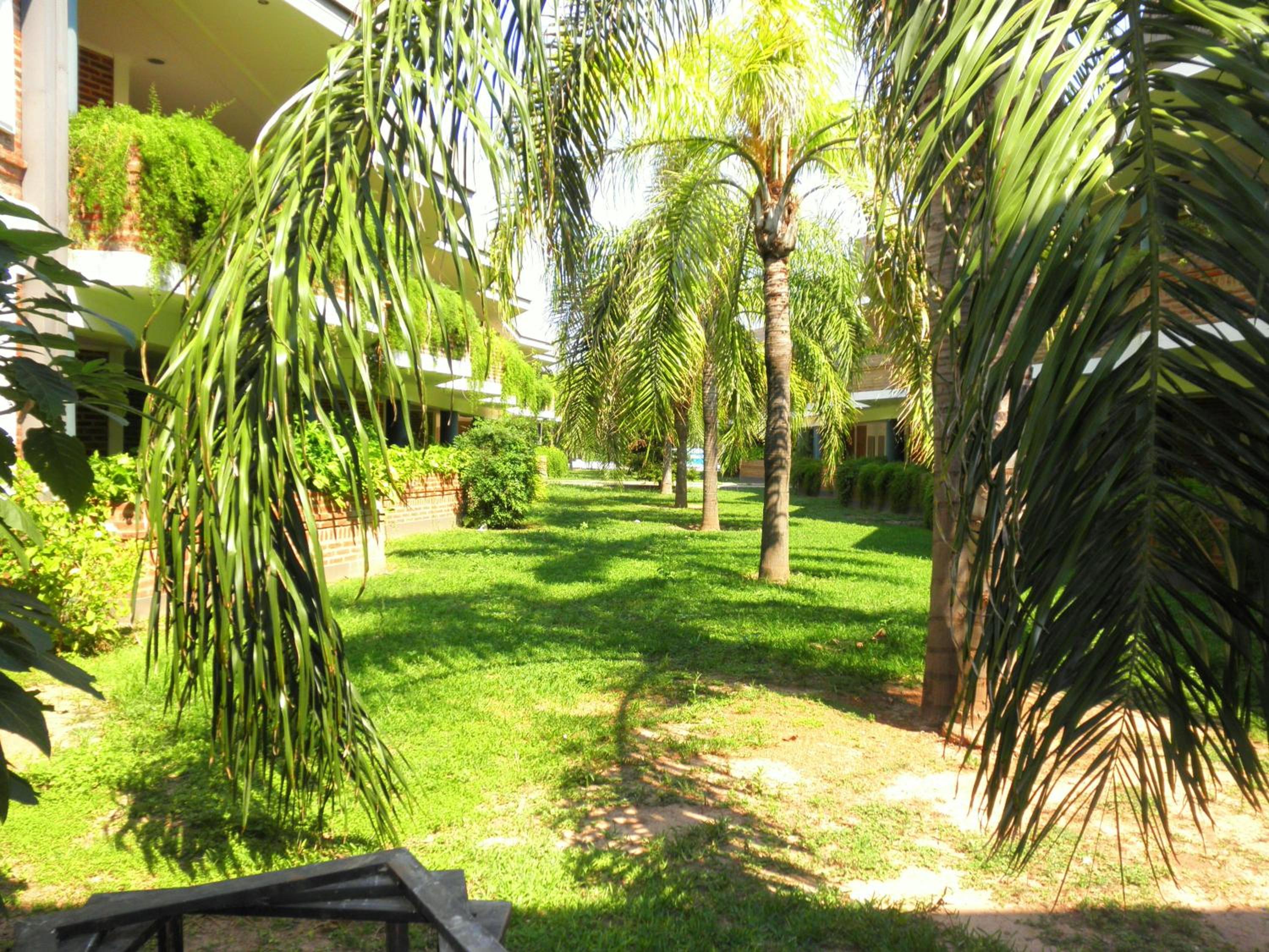 garden