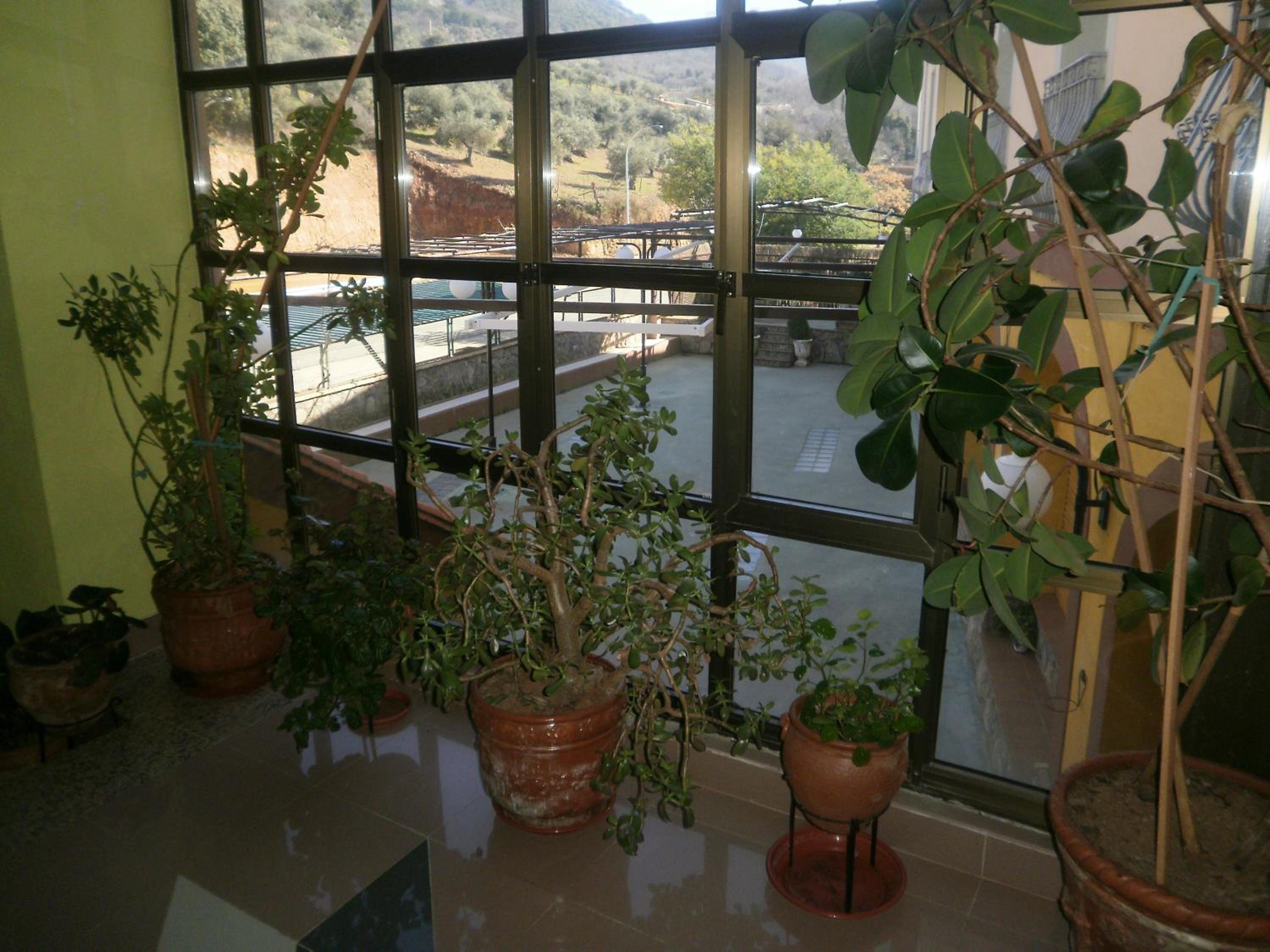 Photo 33