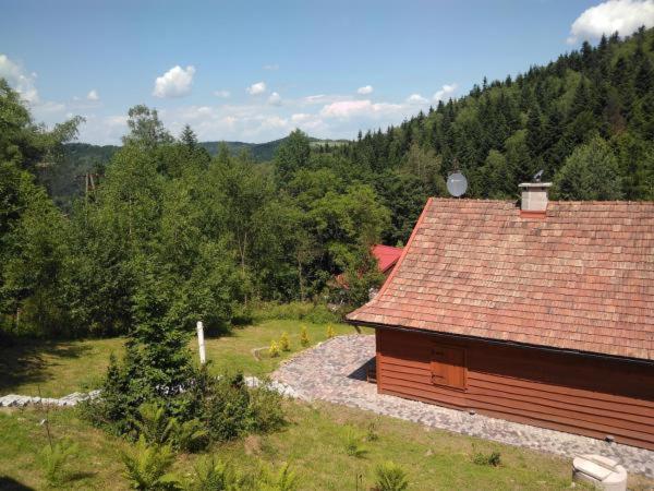 Photo 41