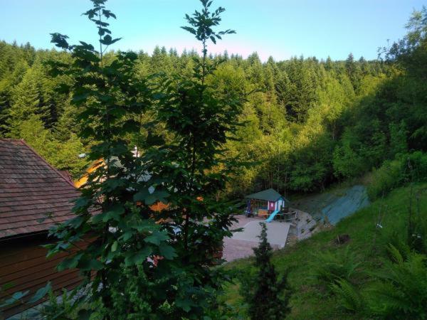 Photo 42