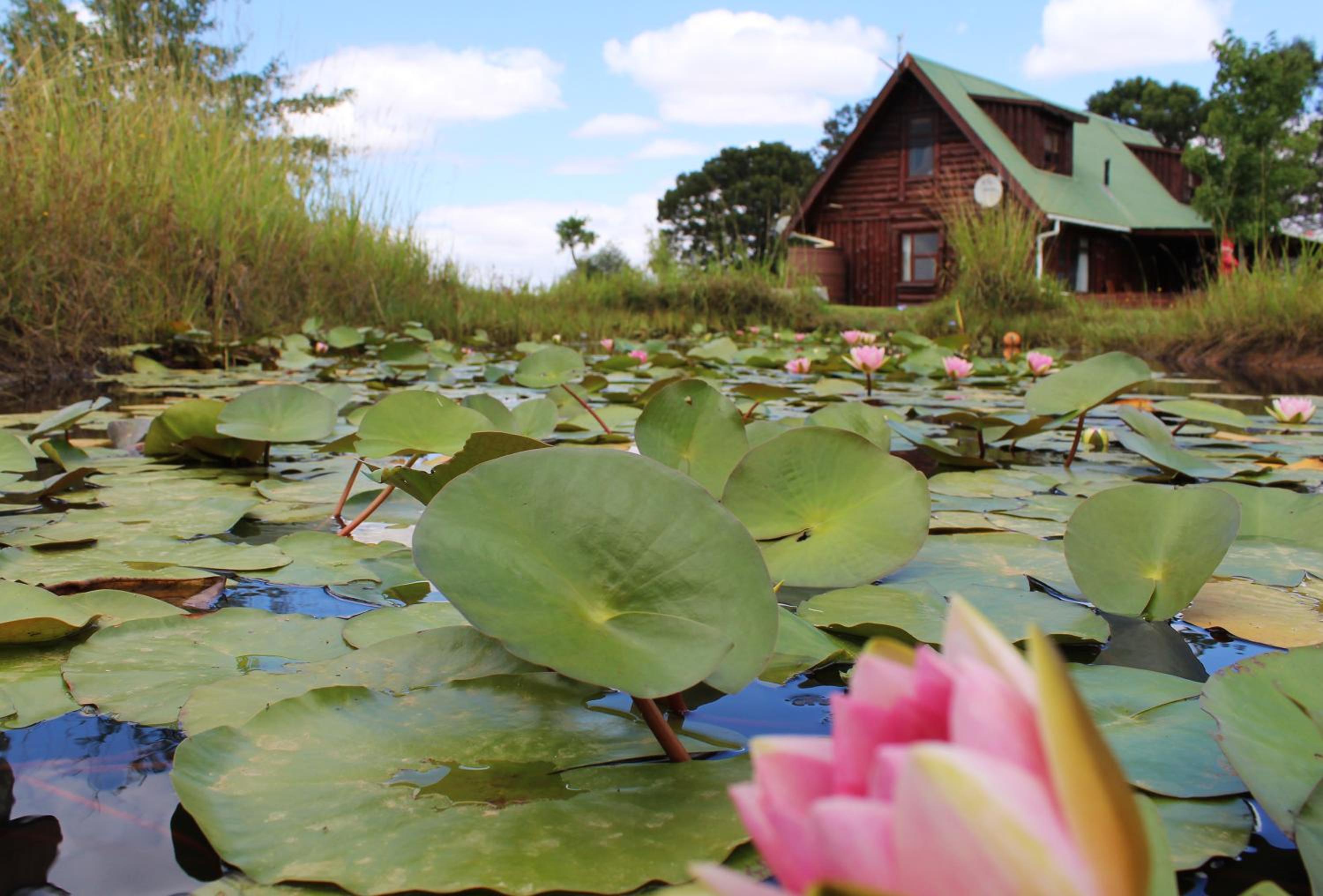 A Log Home at Buffalo Creek