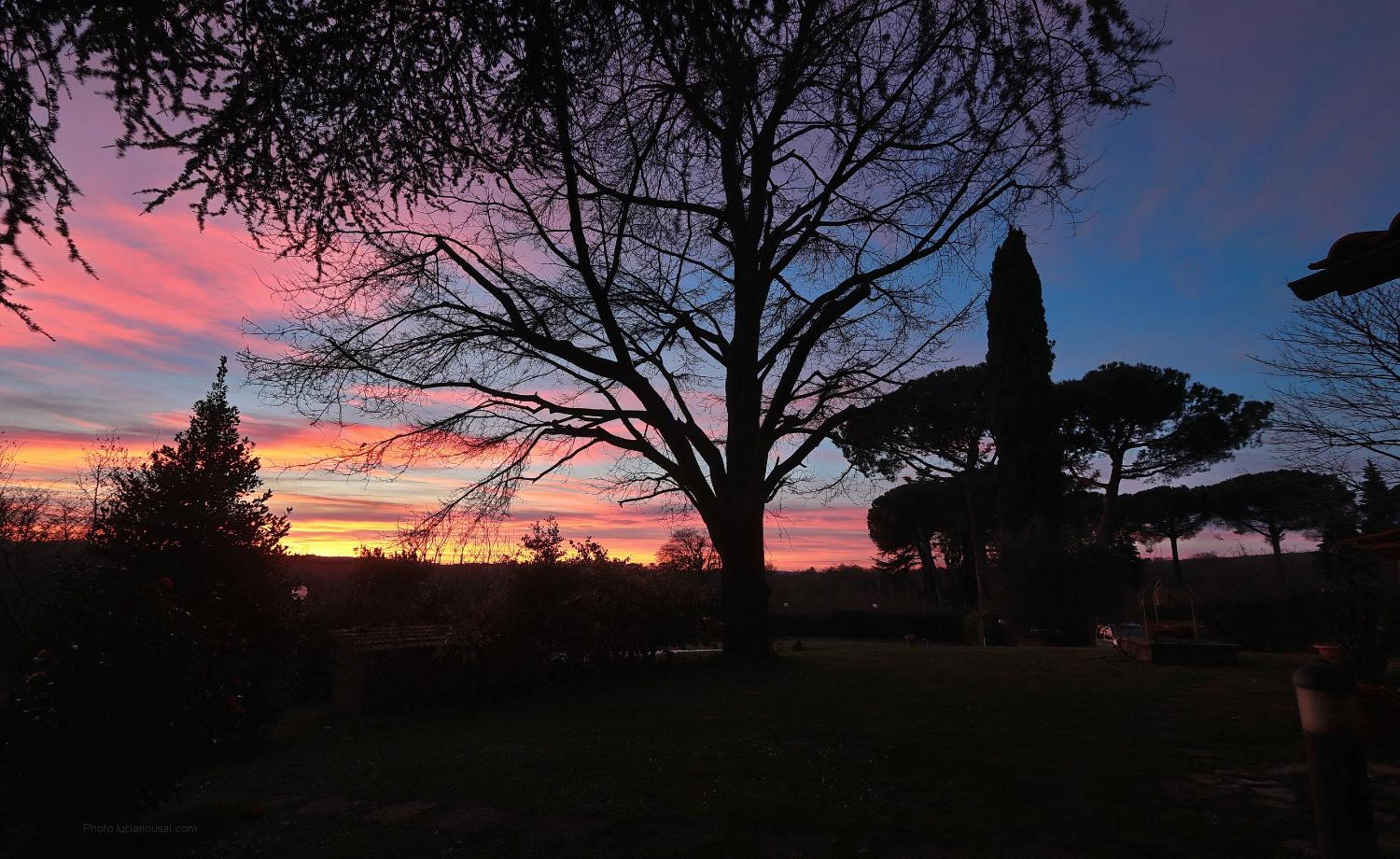 Ai due Cedri view 5