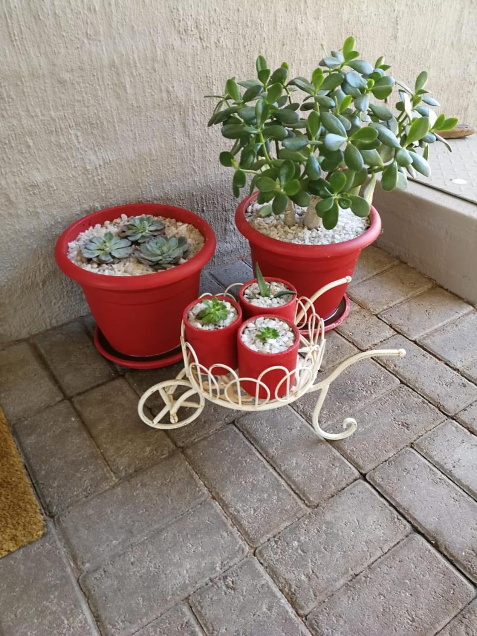 Photo 26