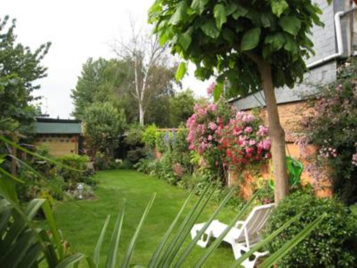 Photo 7