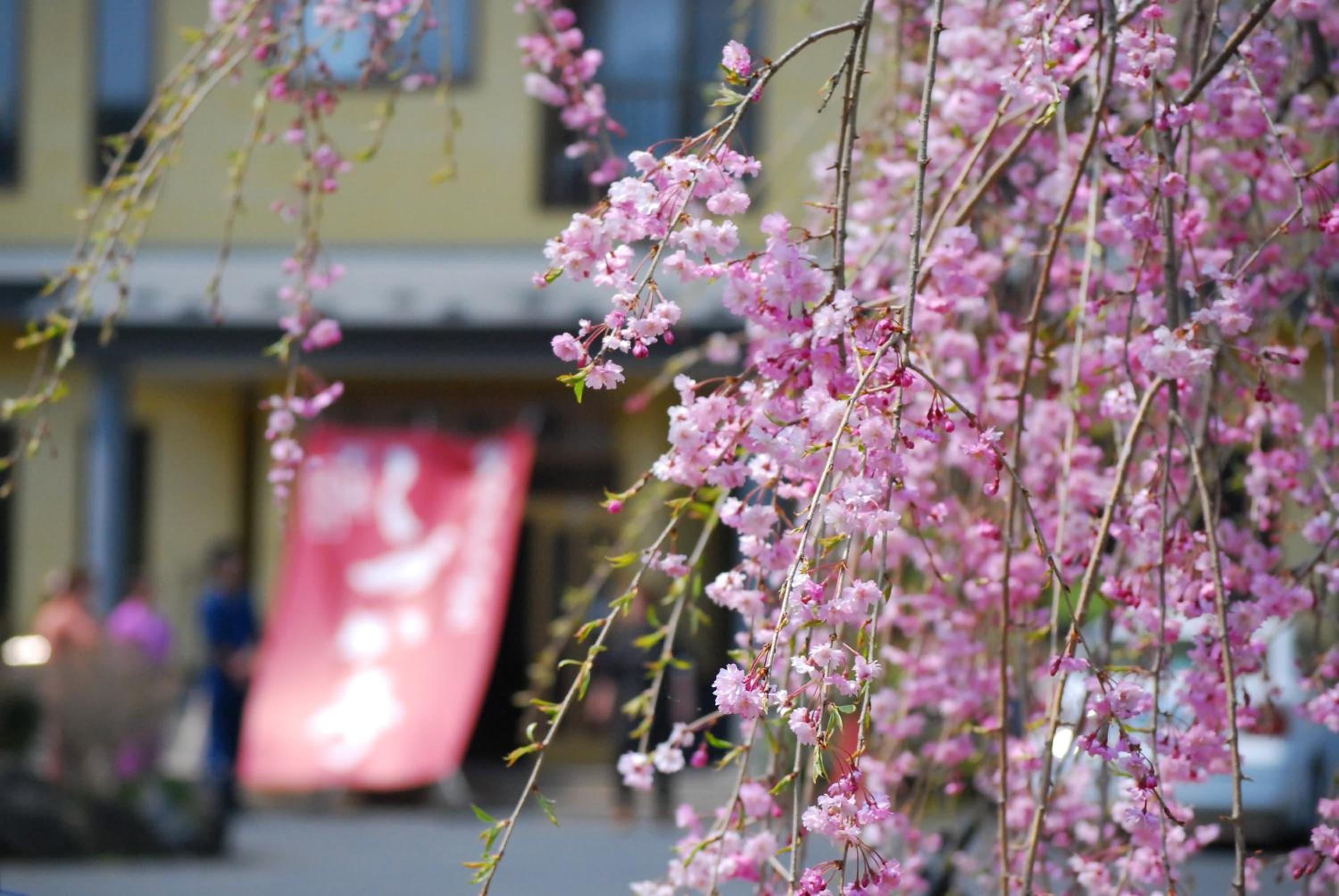 Shizukatei, 平泉町 - 10