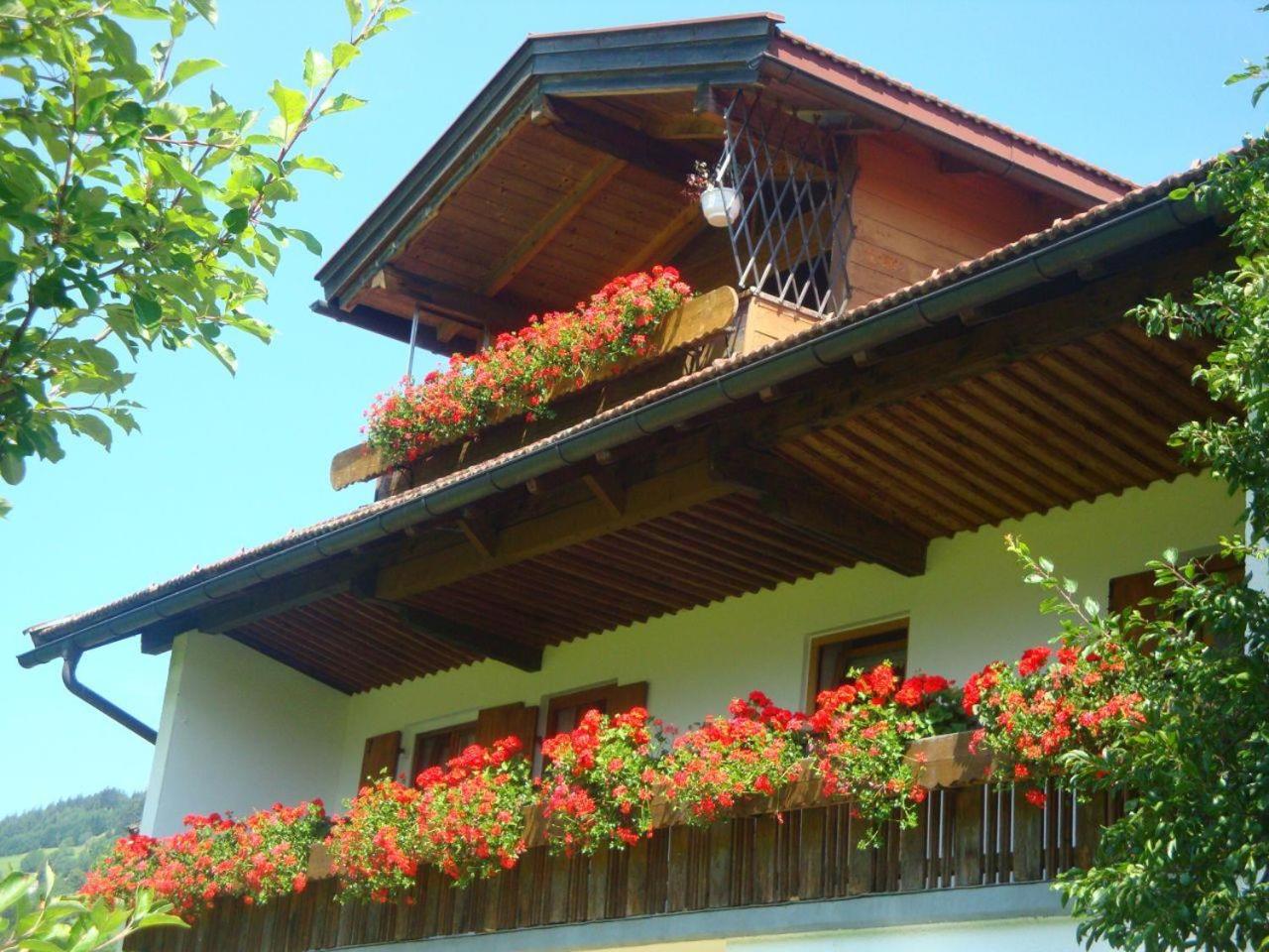 Haus Schöll