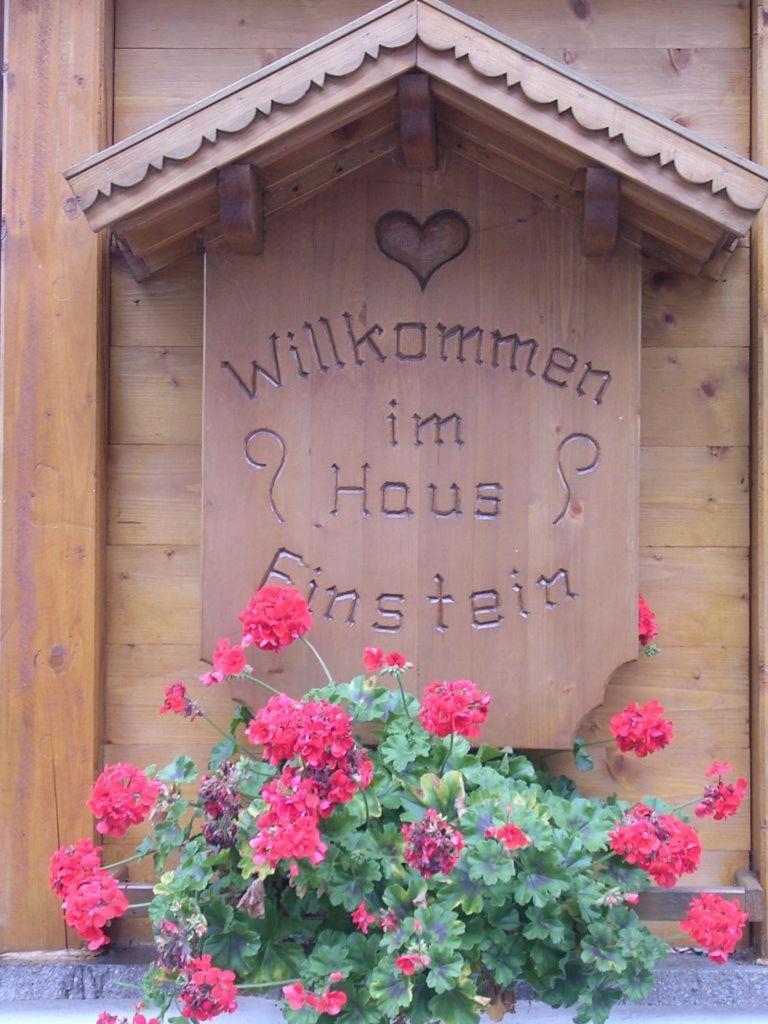Haus Einstein view 5