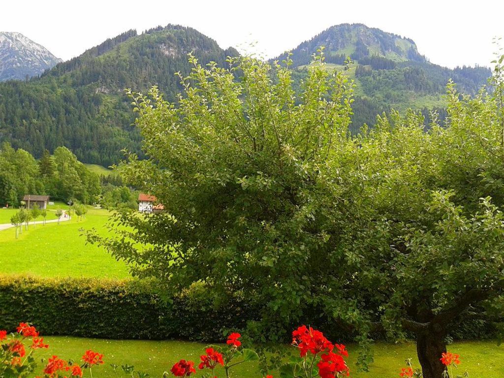 Haus Schöll