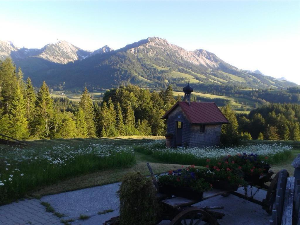 Photo 7
