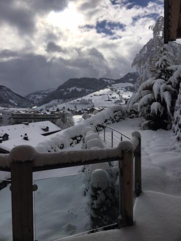 Eggetli view 5