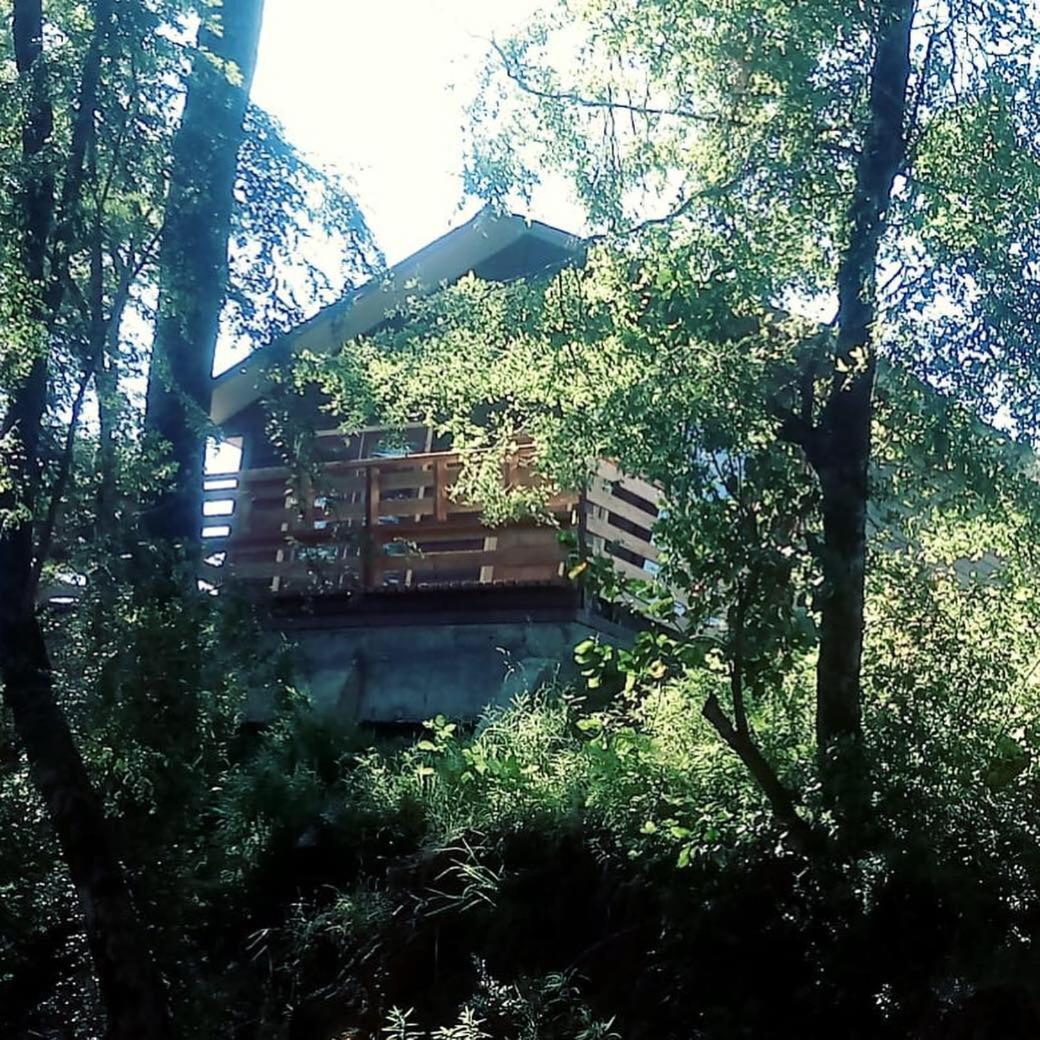 El Rincon de la Olguita