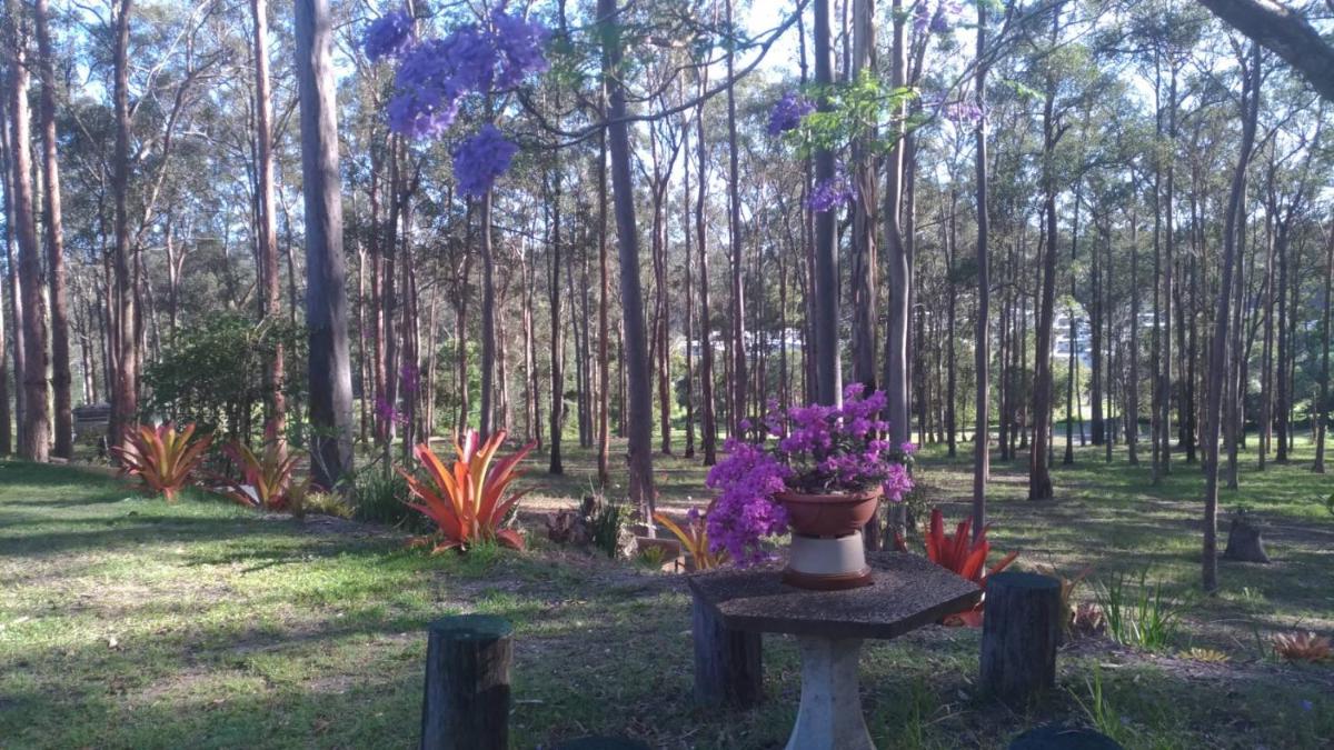 children's play area