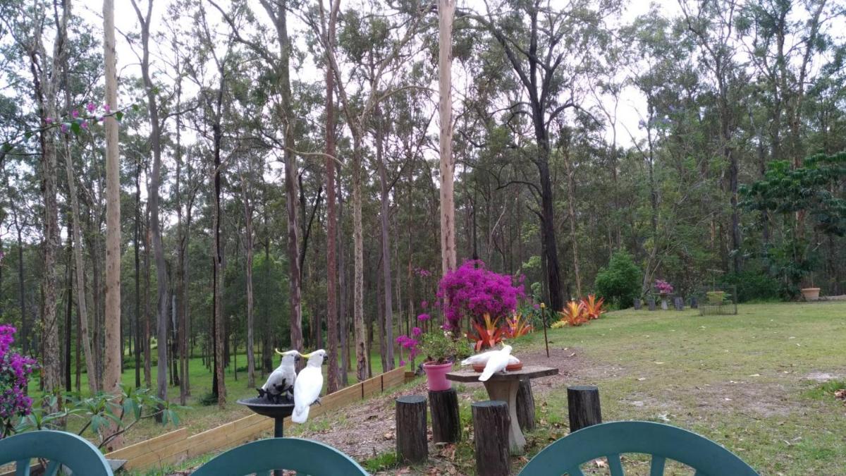 outdoor BBQ area