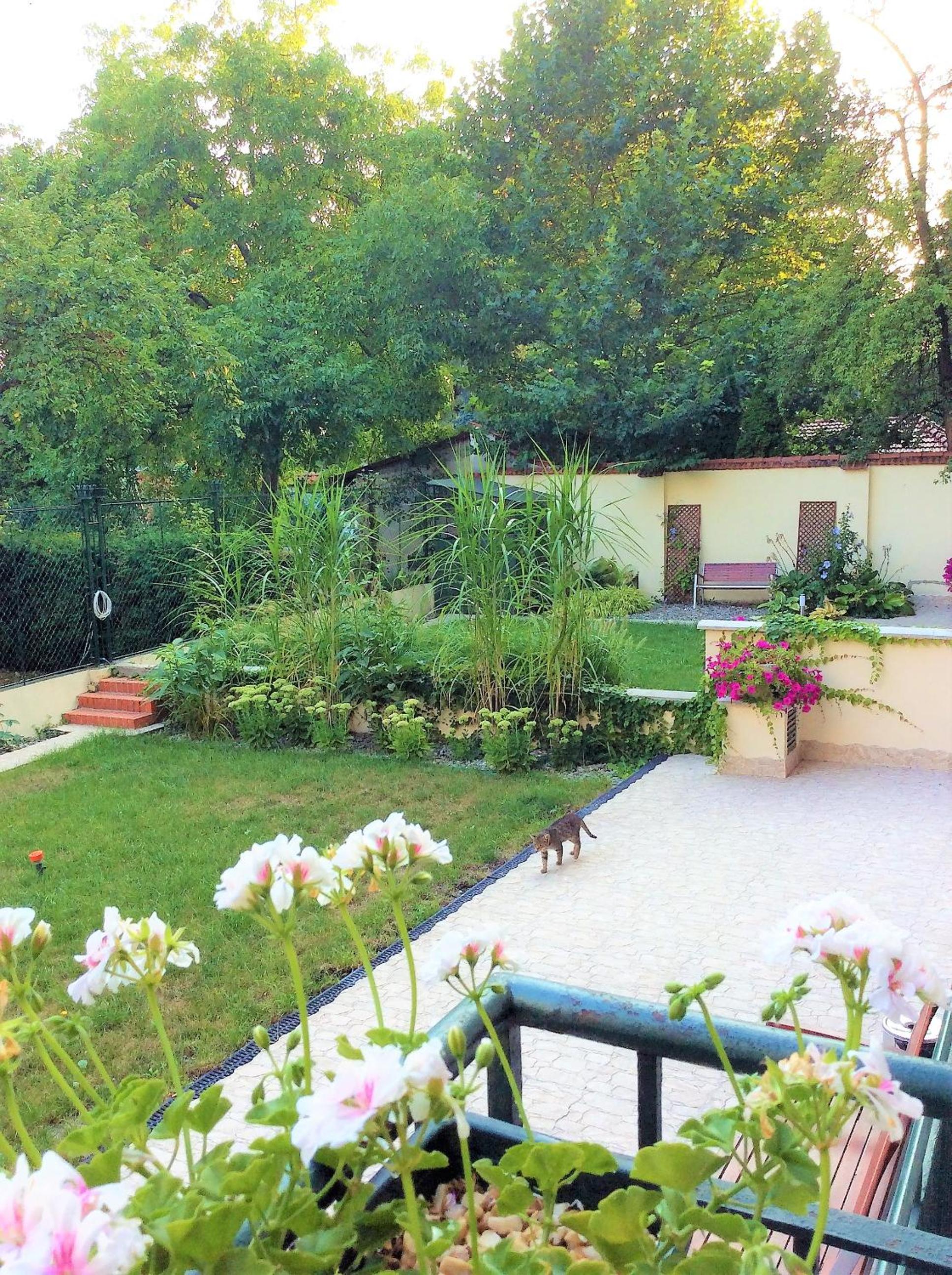 Apartament Amaryllis view 2