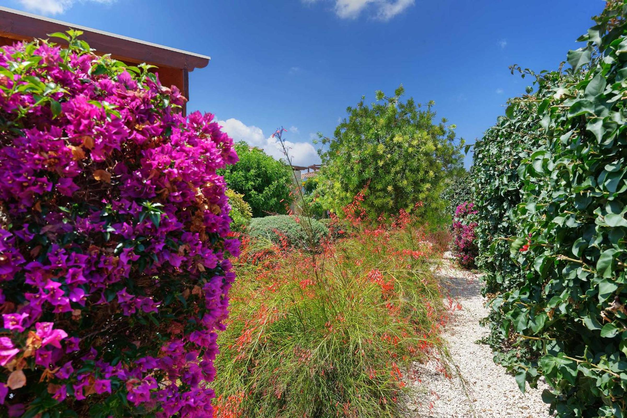 Villa Pashiana view 5