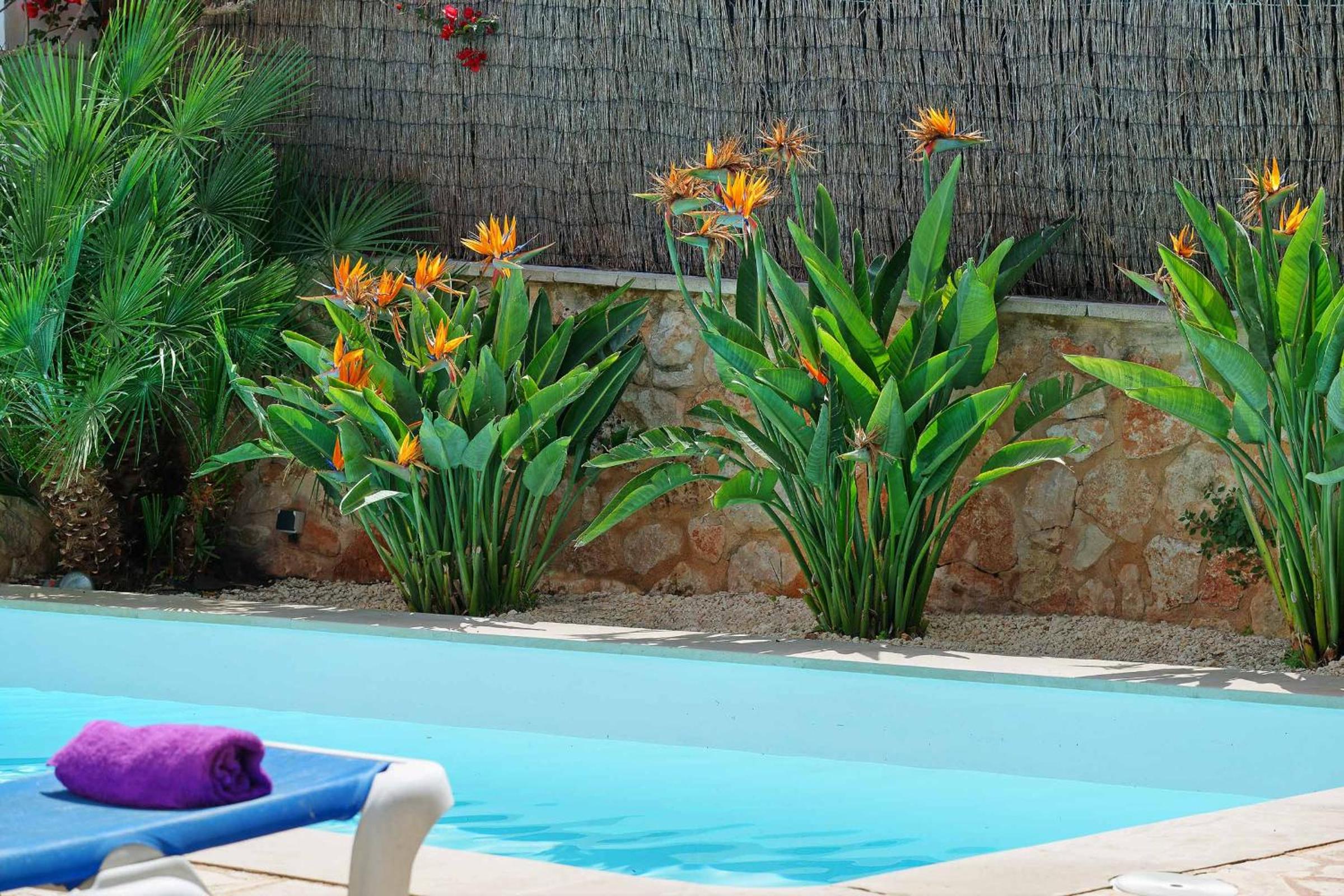 Villa Miguel Angel view 5
